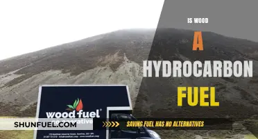 Is Wood a Hydrocarbon Fuel? Exploring Renewable Energy Sources