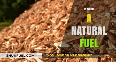 Is Wood a Natural Fuel? Exploring Its Eco-Friendly Potential