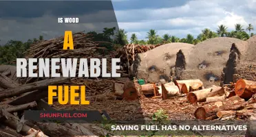 Is Wood a Renewable Fuel? Exploring Sustainability and Environmental Impact