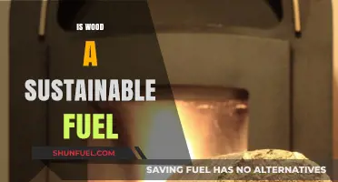 Is Wood a Sustainable Fuel? Exploring Environmental Impacts and Alternatives