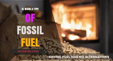 Is Wood a Fossil Fuel? Debunking Common Energy Myths