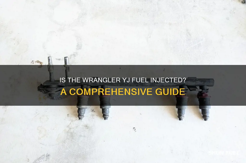 is wrangler yj fuel injected