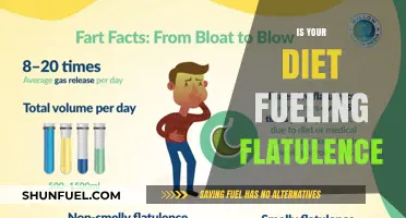 Is Your Diet Causing Excess Gas? Uncover Flatulence Triggers and Solutions