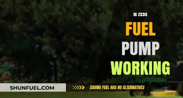 Is Your Z235 Fuel Pump Working? Troubleshooting Tips and Solutions