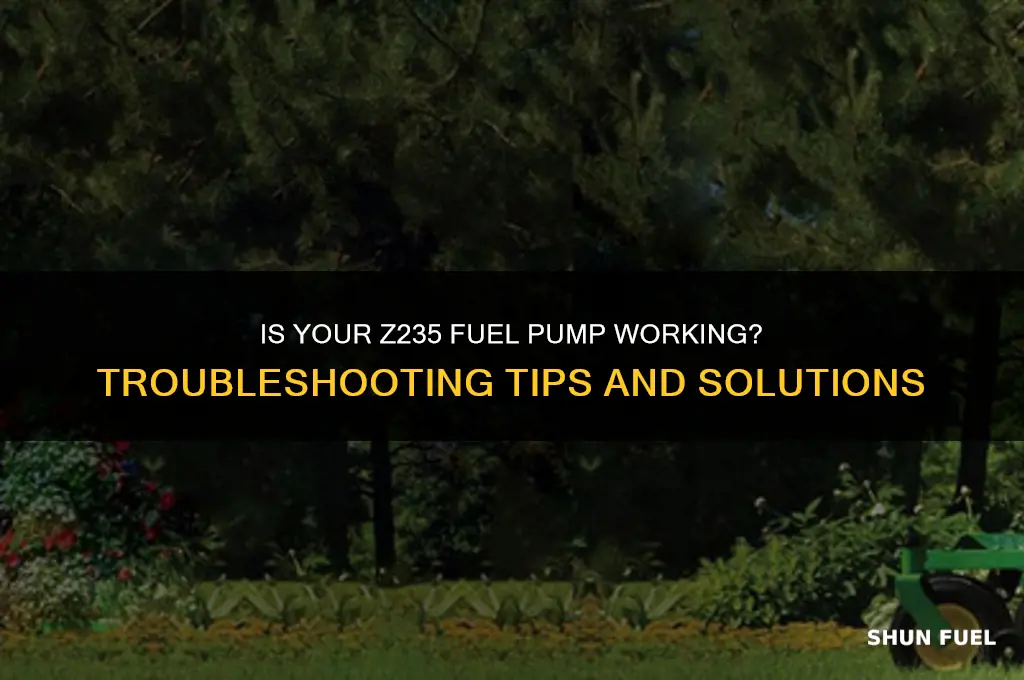 is z235 fuel pump working