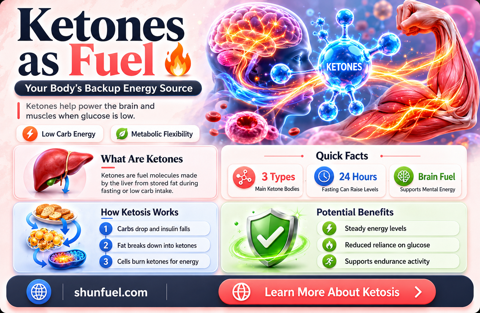 are ketones used as fuel fot the body