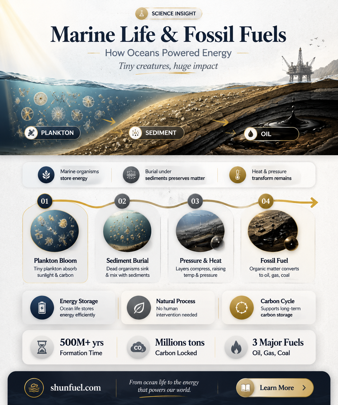are fossil fuels only from marine life