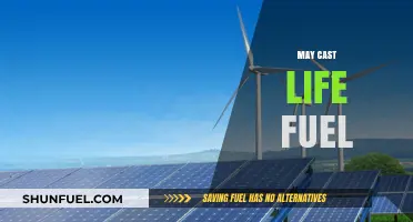 May Cast Life Fuel: Unlocking Sustainable Energy for a Greener Future