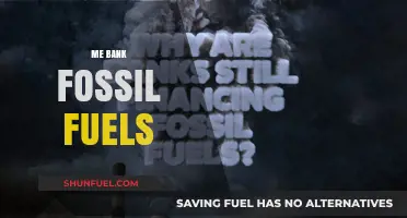 ME Bank's Fossil Fuel Investments: Ethical Concerns and Green Alternatives