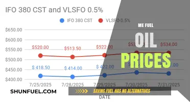 Understanding the Impact of Rising Fuel Oil Prices on Consumers