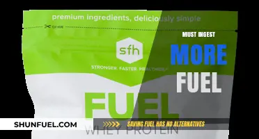 Boost Your Energy: Why You Must Ingest More Fuel Daily
