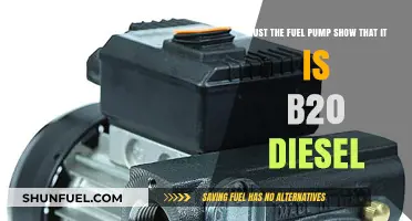 Why B20 Diesel Needs to Be Clearly Marked at the Pump