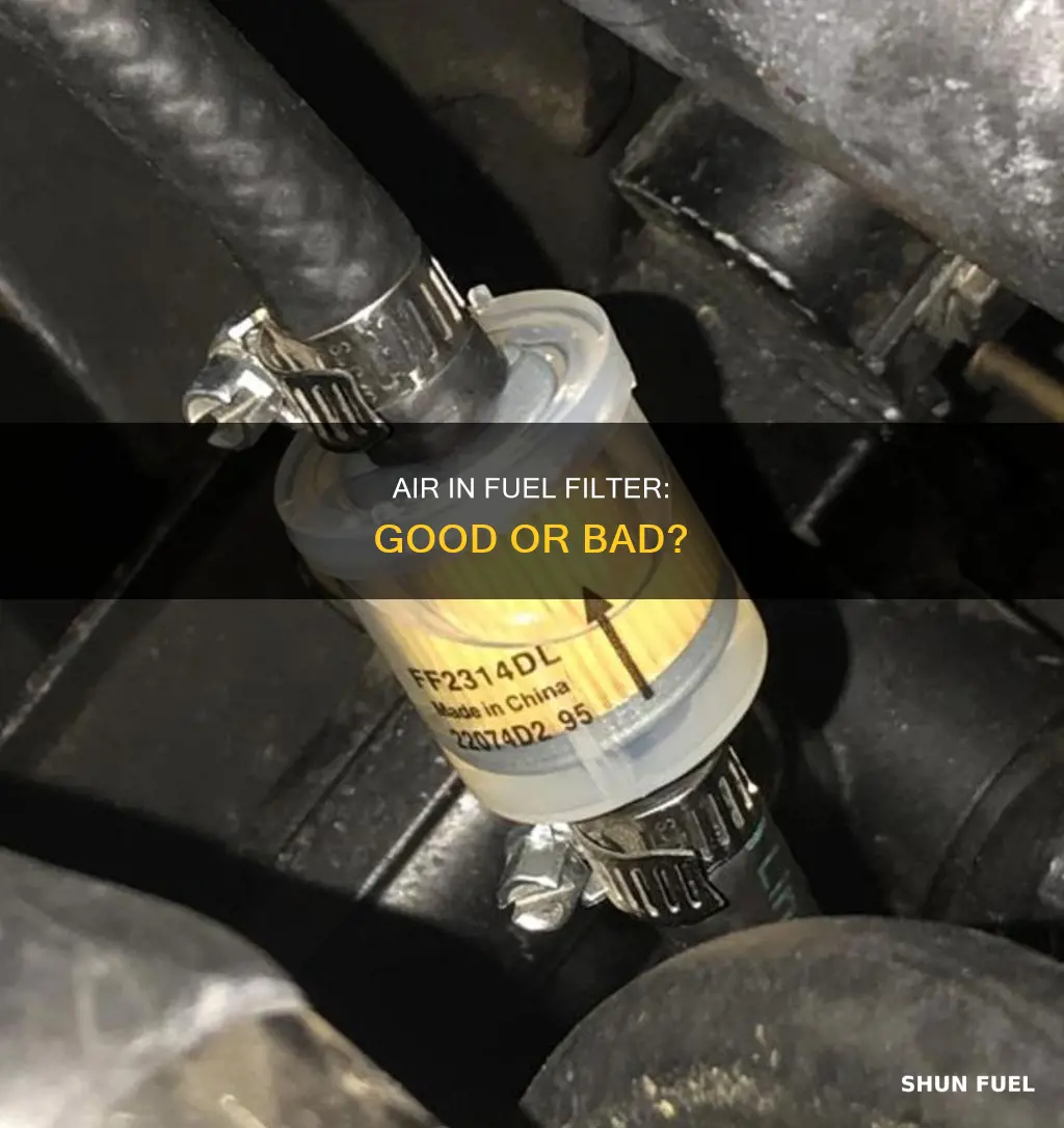 should a fuel filter have air in it