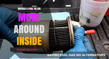 Fuel Filter Instability: A Cause for Concern?