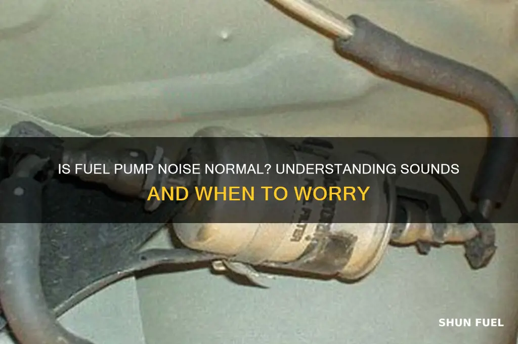 should a fuel pump always make a noise