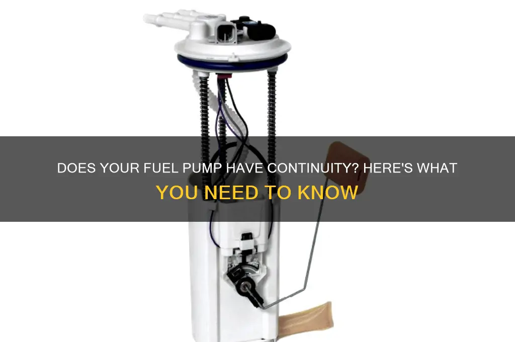 should a fuel pump have continuity