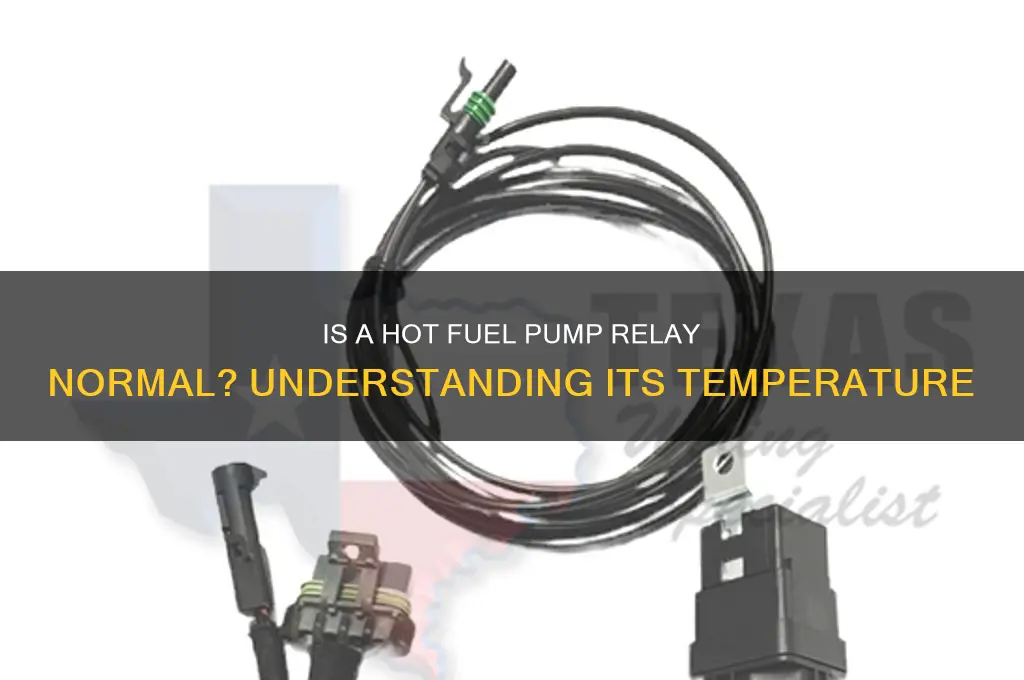 should a fuel pump relay be hot