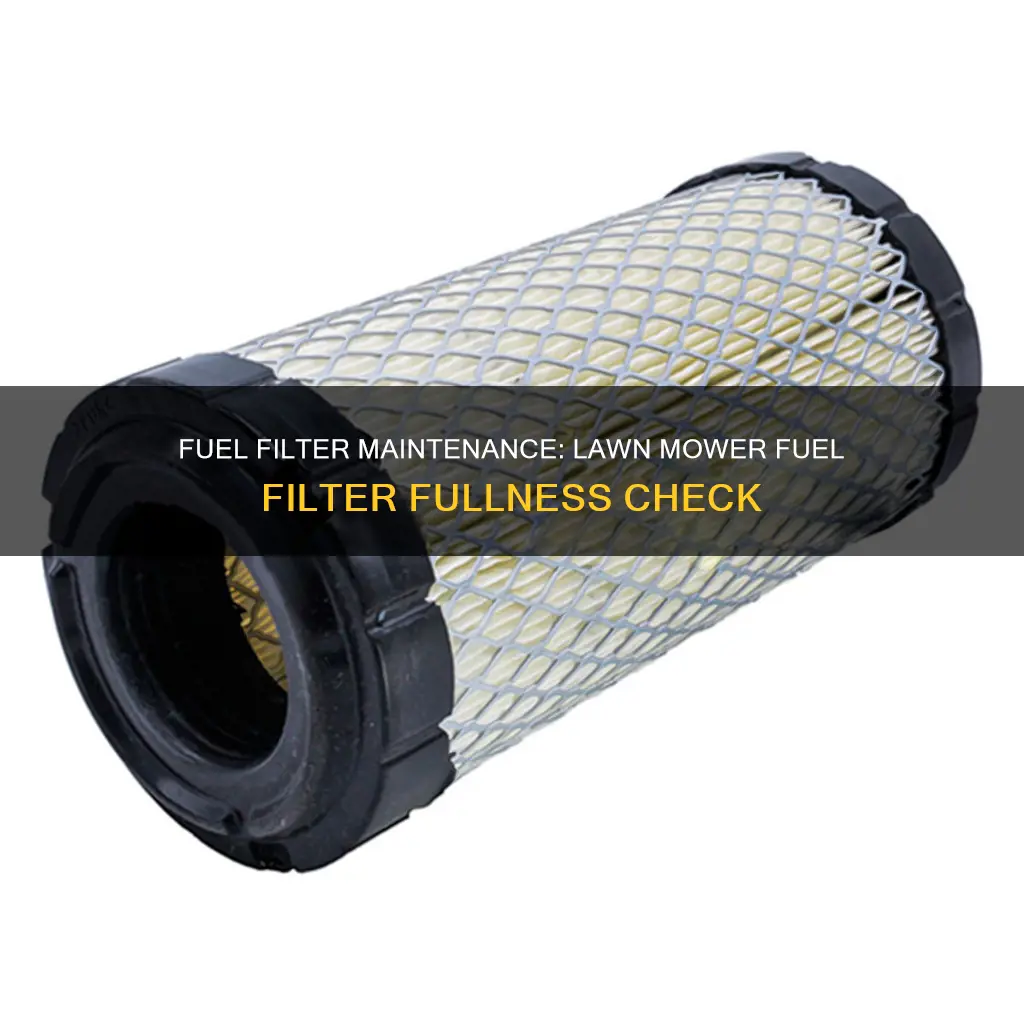 should a lawn mower fuel filter be full