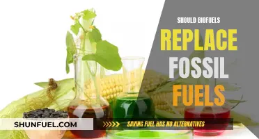 Biofuels: A Sustainable Future Beyond Fossil Fuels?