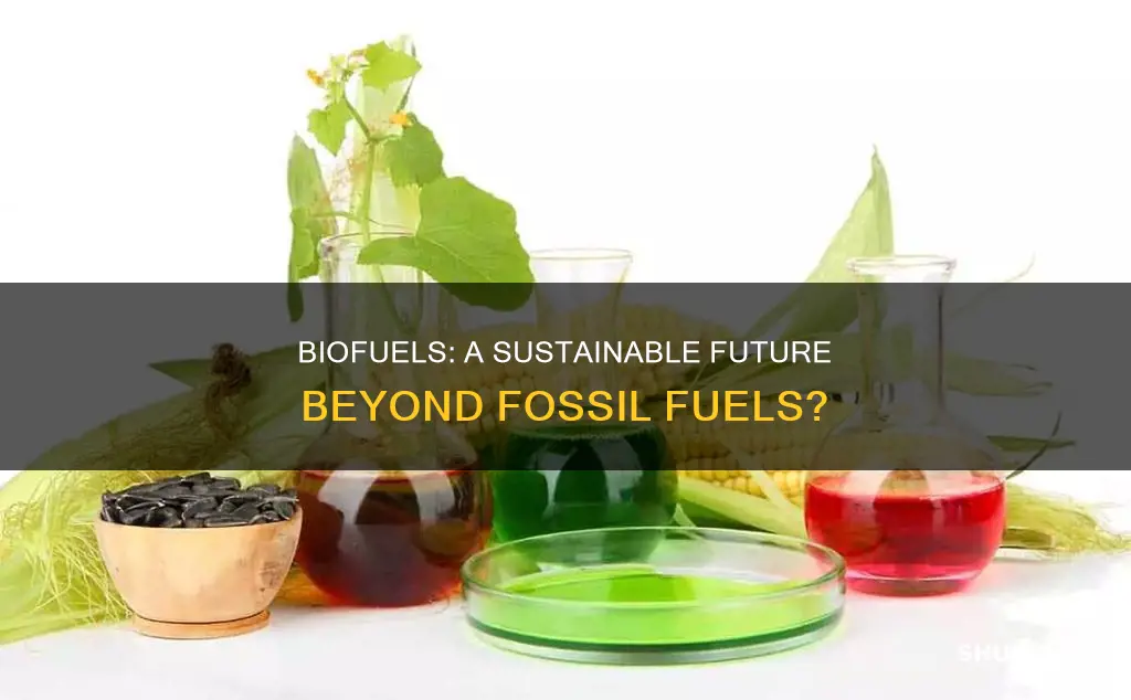 should biofuels replace fossil fuels