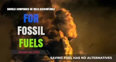 Corporate Responsibility: Holding Companies Accountable for Fossil Fuel Impact