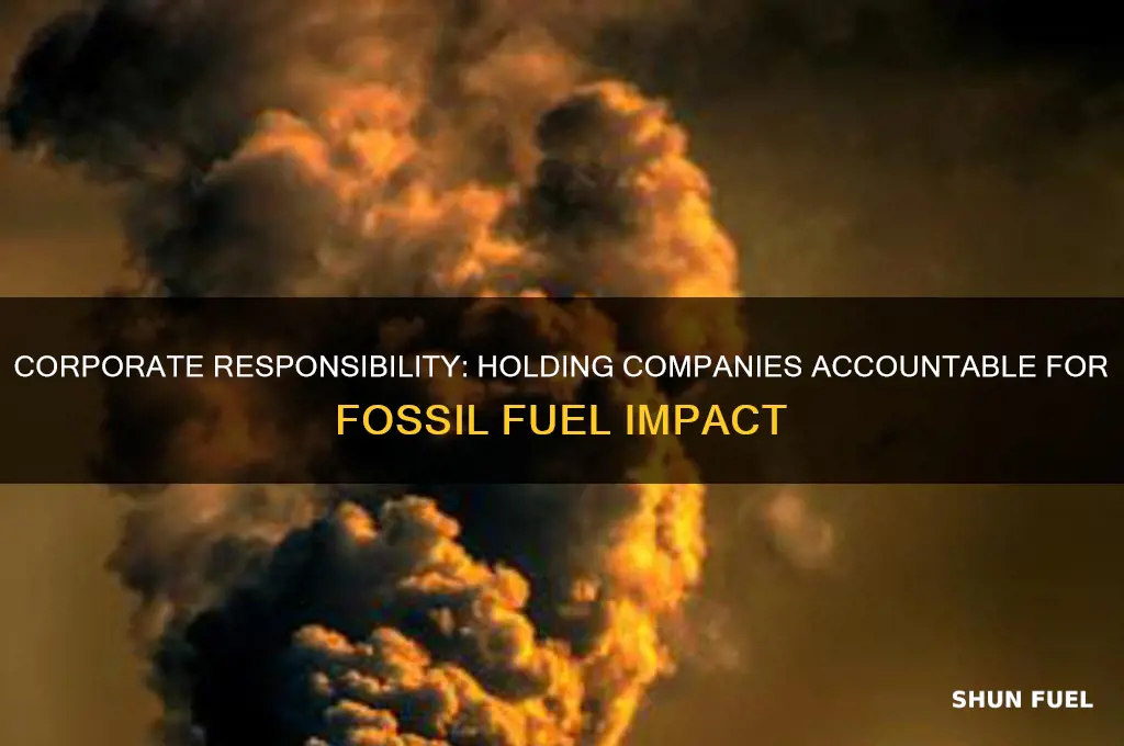 should companies be held accountable for fossil fuels