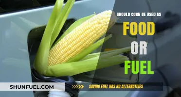 Corn's Dilemma: Feeding the World or Fueling Our Vehicles?