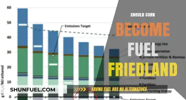 Corn as Fuel: A Sustainable Solution or Agricultural Dilemma?