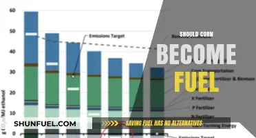 Corn as Fuel: Sustainable Solution or Agricultural Misstep?