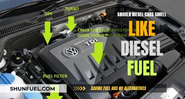Why Diesel Cars Smell Like Fuel