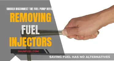 Disconnecting Fuel Pump: Necessary Precaution for Fuel Injector Removal?