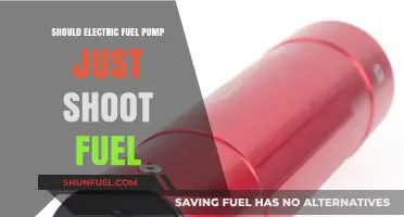 Should Electric Fuel Pumps Just Shoot Fuel? Exploring Efficiency and Safety