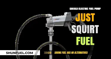 Electric Fuel Pumps: Should They Squirt Fuel or Regulate Flow?