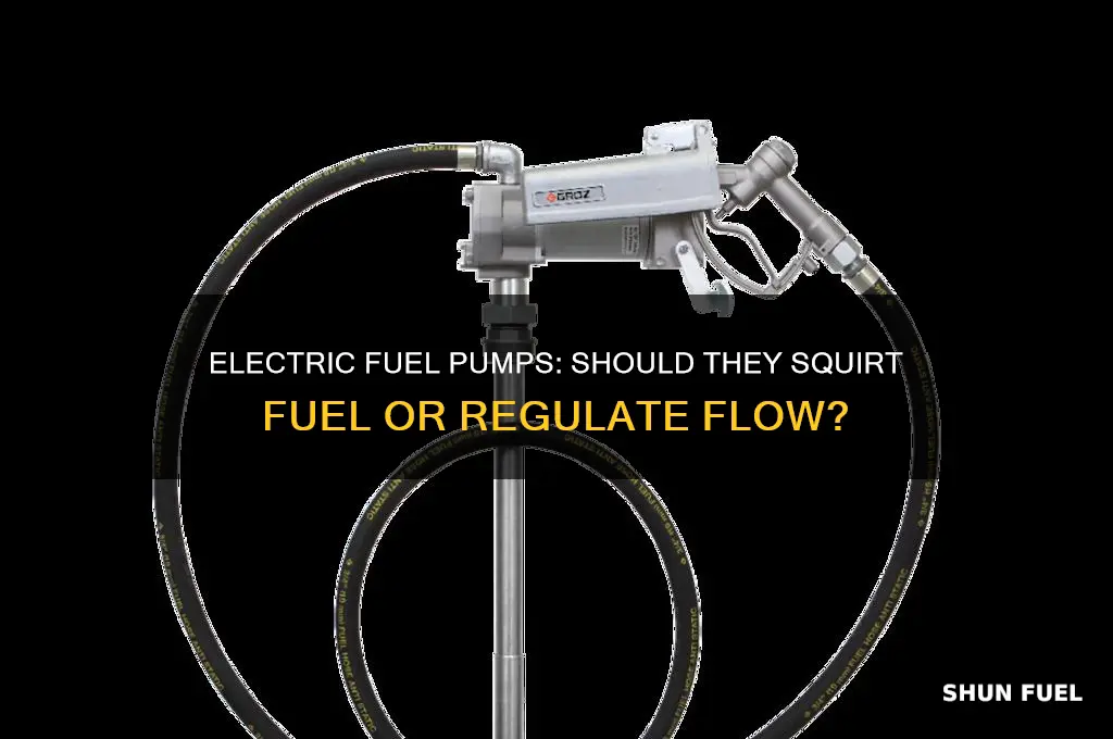 should electric fuel pump just squirt fuel