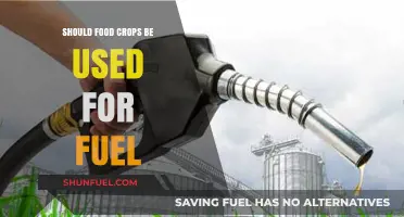 Food for Fuel: Ethical Dilemma of Crop Diversion to Energy