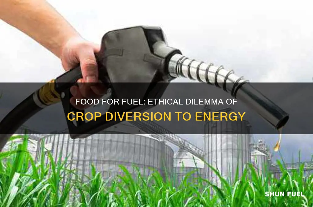should food crops be used for fuel