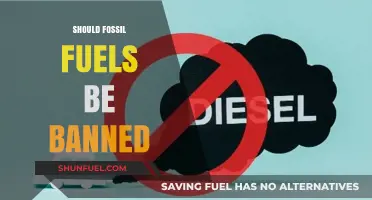 Should Fossil Fuels Be Banned? Exploring the Pros and Cons