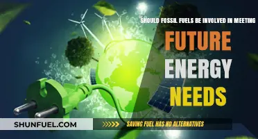 Fossil Fuels' Role in Future Energy: Sustainable or Outdated?