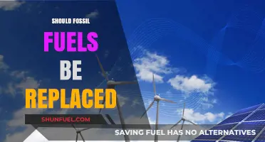 Replacing Fossil Fuels: A Necessary Shift for a Sustainable Future?
