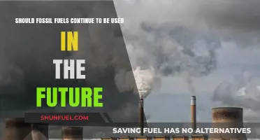 Fossil Fuels' Future: Balancing Energy Needs with Environmental Sustainability