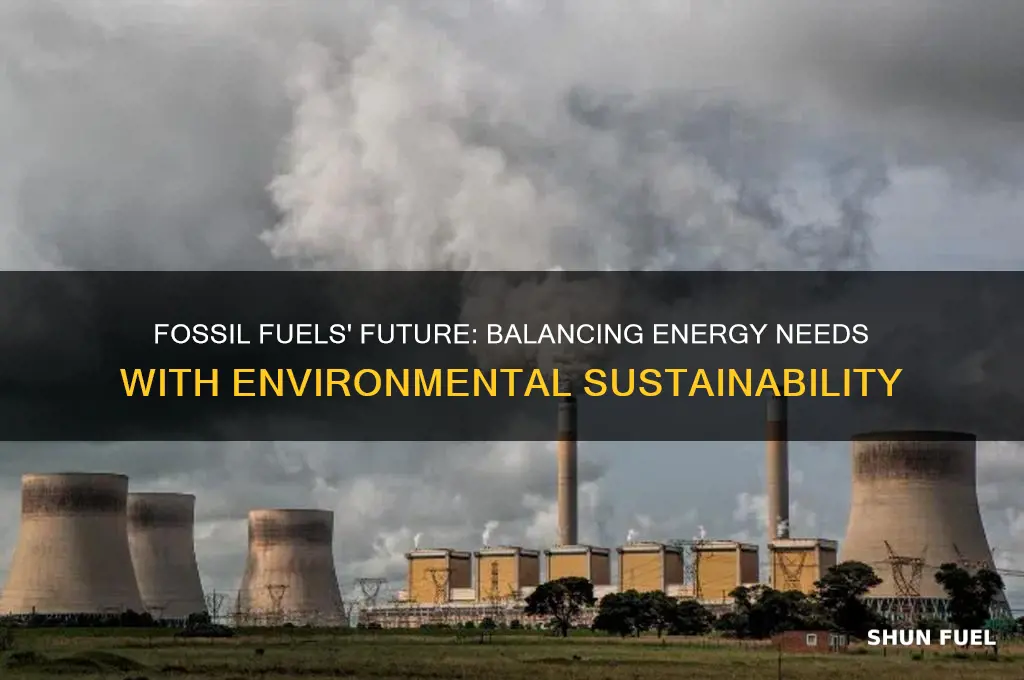 should fossil fuels continue to be used in the future