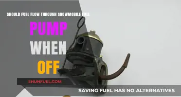 Should Snowmobile Fuel Pumps Allow Flow When Engine is Off?