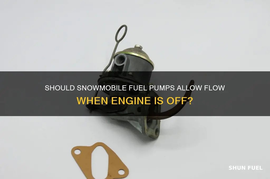 should fuel flow through snowmobile fuel pump when off