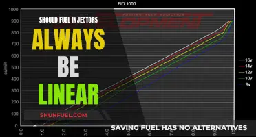 Fuel Injectors: Linear or Not?