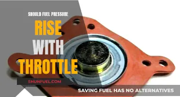 Fuel Pressure and Throttle: What's the Relationship?