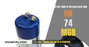 Fuel Pump Replacement: Tank or 74 MGB?