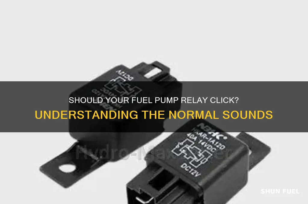 should fuel pump relay click