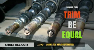 Should Fuel Trim Be Equal? Understanding Balance for Optimal Engine Performance