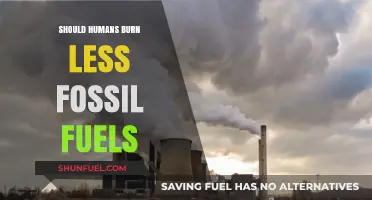 Burning Fossil Fuels: A Critical Choice for Our Planet's Future