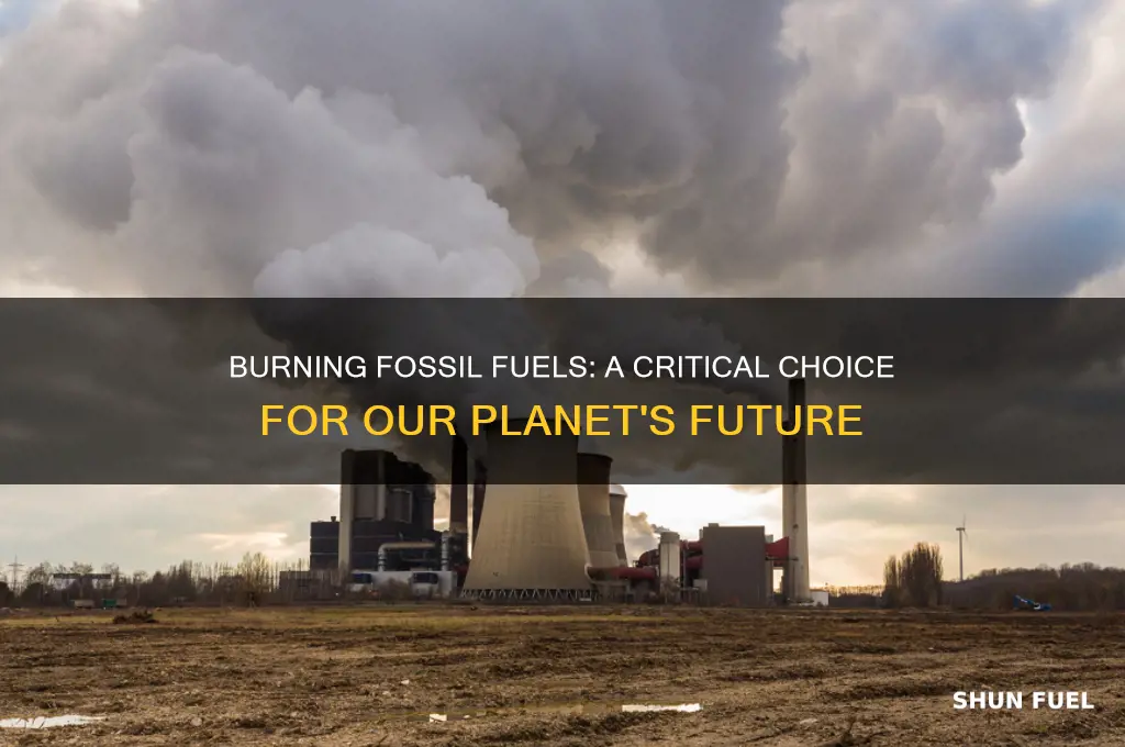 should humans burn less fossil fuels
